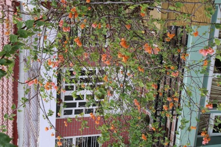 Phong Lan Guesthouse 후에 객실 사진