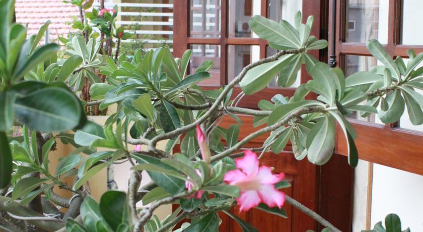 Phong Lan Guesthouse 후에 외부 사진